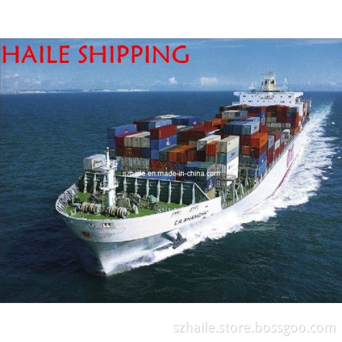 FCL Sea Freight From Shenzhen to Muara Brunei